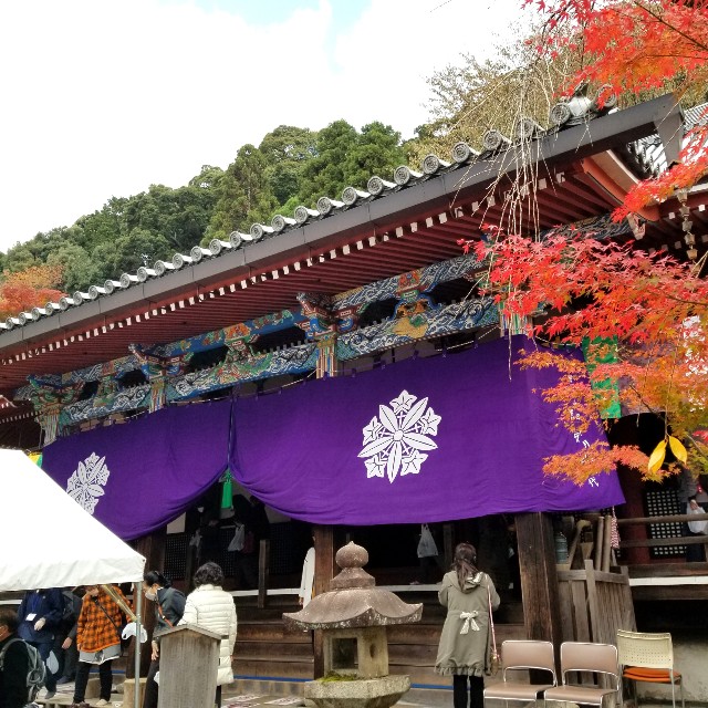 f:id:atoriatoriatori:20211209175652j:image f:id:atoriatoriatori:20211209175652j:image