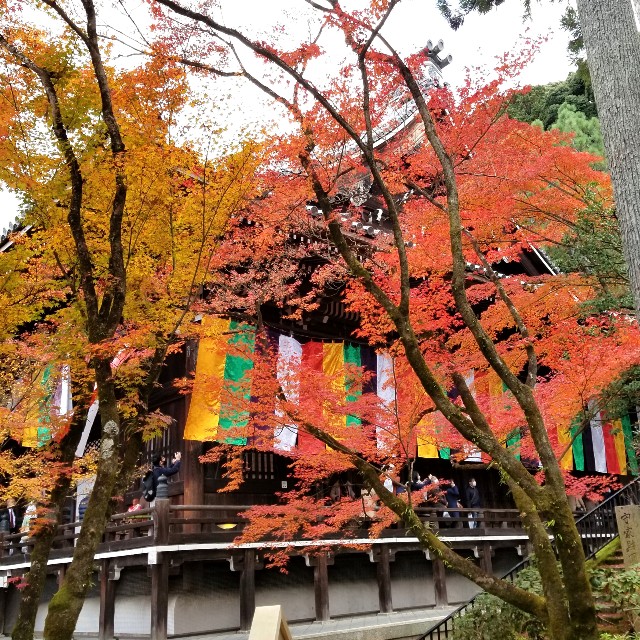 f:id:atoriatoriatori:20211209211640j:image f:id:atoriatoriatori:20211209211640j:image
