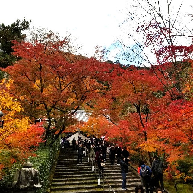 f:id:atoriatoriatori:20211209211648j:image f:id:atoriatoriatori:20211209211648j:image