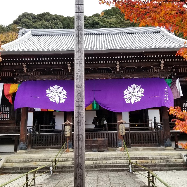 f:id:atoriatoriatori:20211209214534j:image f:id:atoriatoriatori:20211209214534j:image