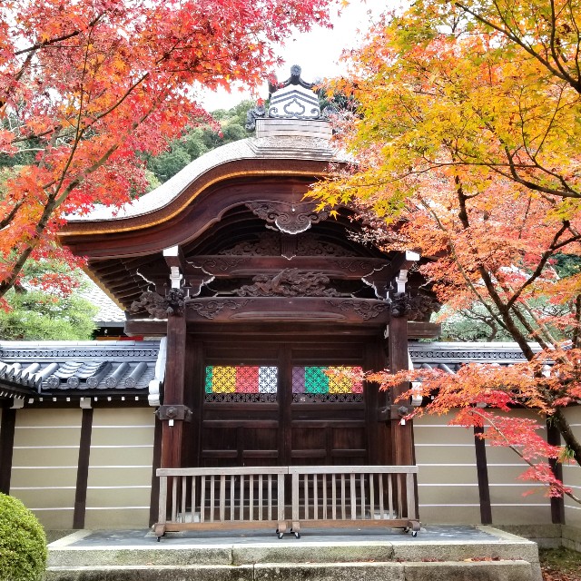 f:id:atoriatoriatori:20211210092438j:image f:id:atoriatoriatori:20211210092438j:image
