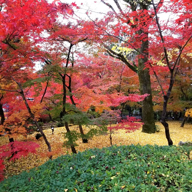 f:id:atoriatoriatori:20211210092847j:image f:id:atoriatoriatori:20211210092847j:image