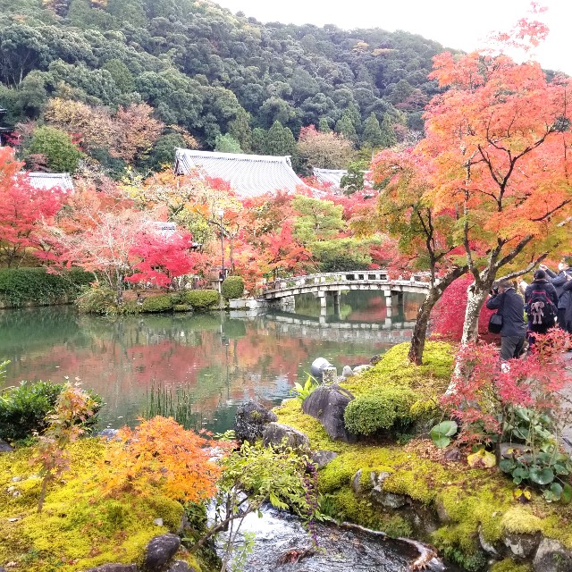f:id:atoriatoriatori:20211210093430j:image f:id:atoriatoriatori:20211210093430j:image