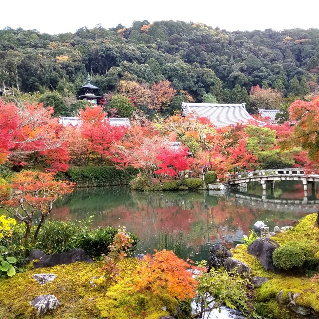f:id:atoriatoriatori:20211210093552j:image f:id:atoriatoriatori:20211210093552j:image