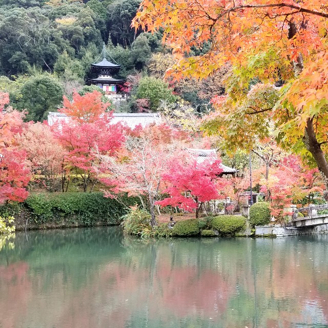 f:id:atoriatoriatori:20211210094907j:image f:id:atoriatoriatori:20211210094907j:image