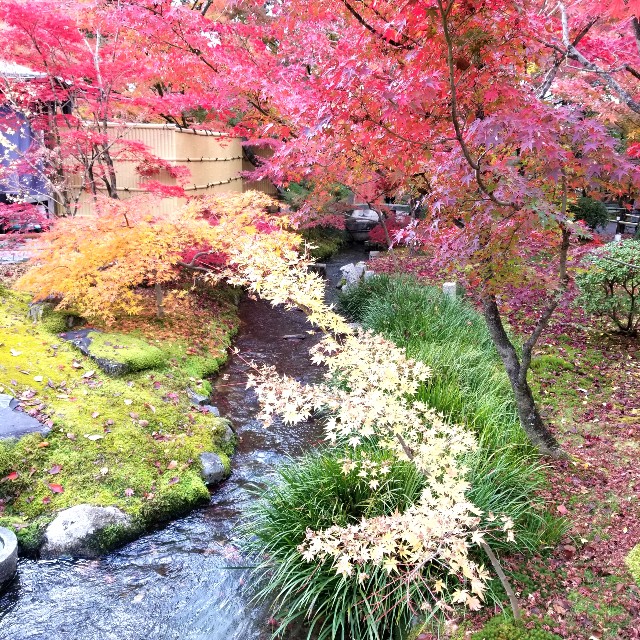 f:id:atoriatoriatori:20211210095027j:image f:id:atoriatoriatori:20211210095027j:image