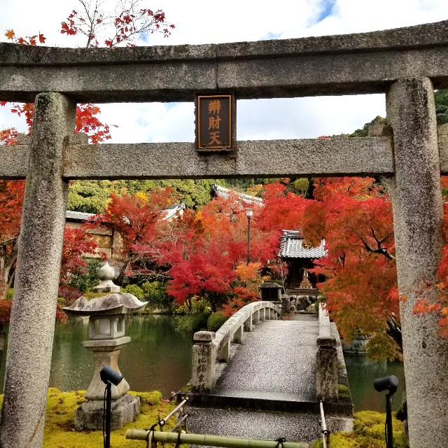 f:id:atoriatoriatori:20211210095035j:image f:id:atoriatoriatori:20211210095035j:image