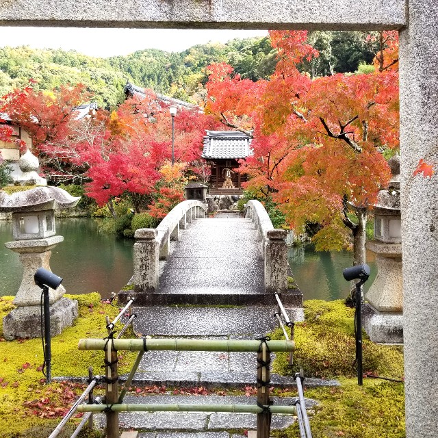 f:id:atoriatoriatori:20211210095904j:image f:id:atoriatoriatori:20211210095904j:image