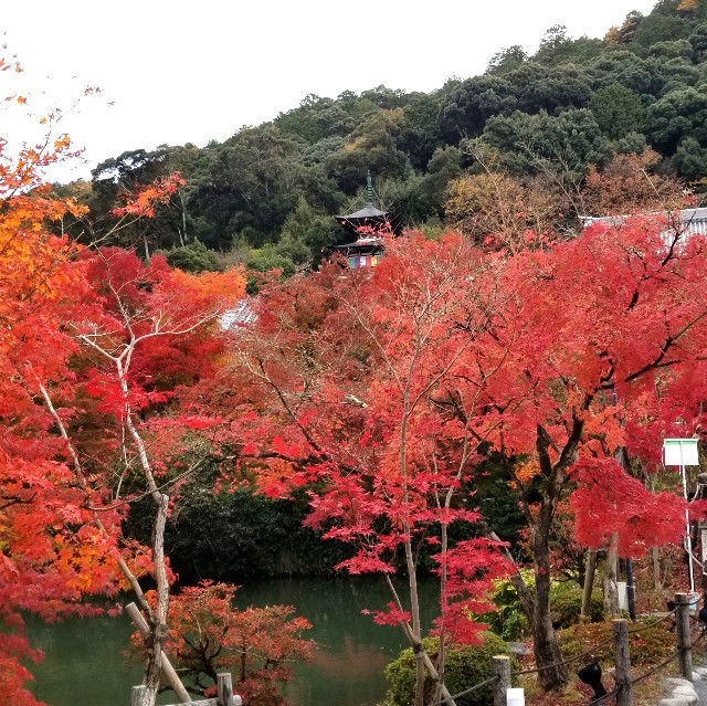 f:id:atoriatoriatori:20211210095927j:image f:id:atoriatoriatori:20211210095927j:image
