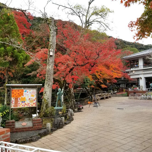 f:id:atoriatoriatori:20211210095950j:image f:id:atoriatoriatori:20211210095950j:image