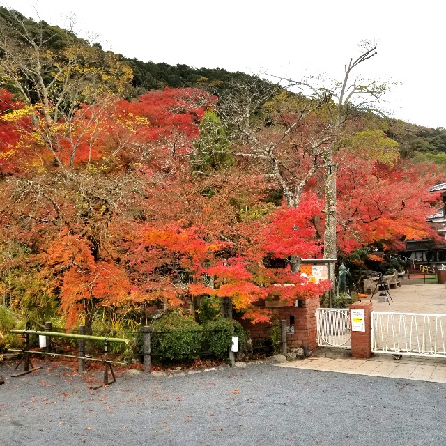 f:id:atoriatoriatori:20211210100003j:image f:id:atoriatoriatori:20211210100003j:image