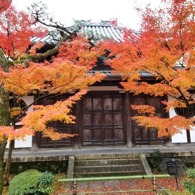 f:id:atoriatoriatori:20211210100951j:image f:id:atoriatoriatori:20211210100951j:image