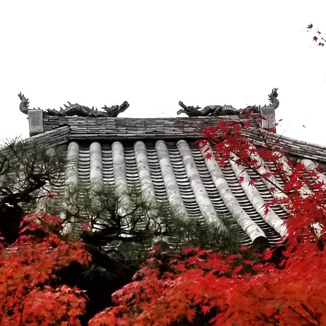 f:id:atoriatoriatori:20211210100959j:image f:id:atoriatoriatori:20211210100959j:image