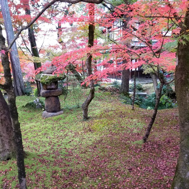 f:id:atoriatoriatori:20211210104626j:image f:id:atoriatoriatori:20211210104626j:image