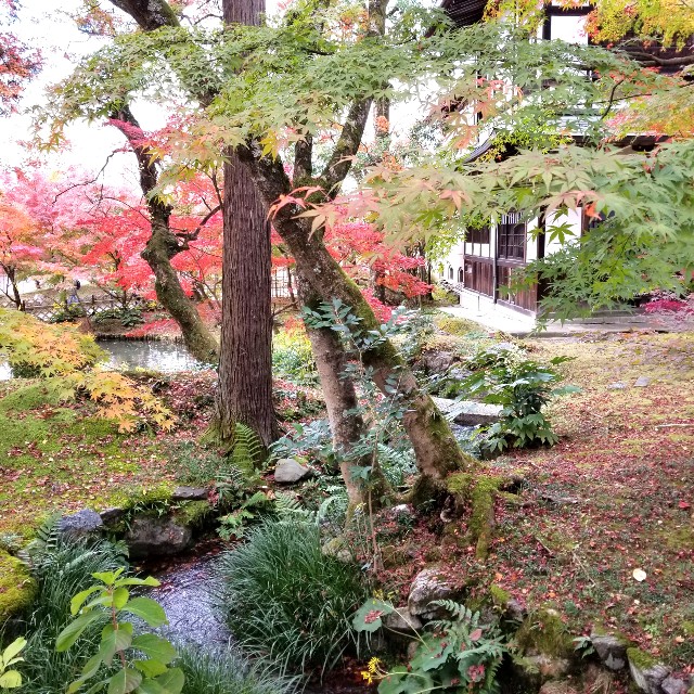 f:id:atoriatoriatori:20211210104633j:image f:id:atoriatoriatori:20211210104633j:image