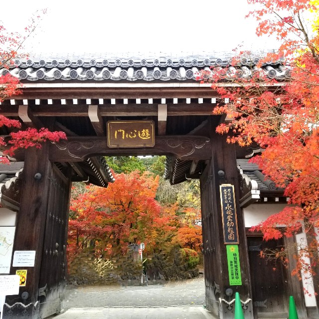 f:id:atoriatoriatori:20211210104640j:image f:id:atoriatoriatori:20211210104640j:image