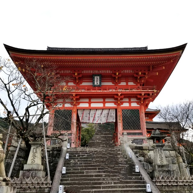 f:id:atoriatoriatori:20211216093000j:image