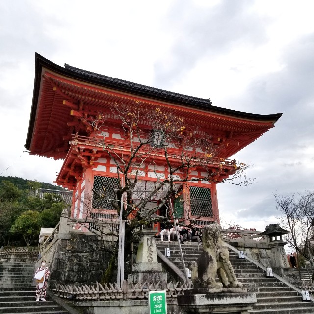 f:id:atoriatoriatori:20211216093007j:image