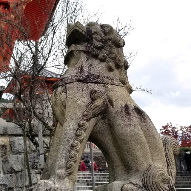 f:id:atoriatoriatori:20211216105706j:image