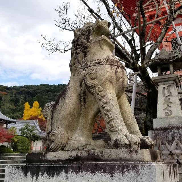 f:id:atoriatoriatori:20211216105714j:image