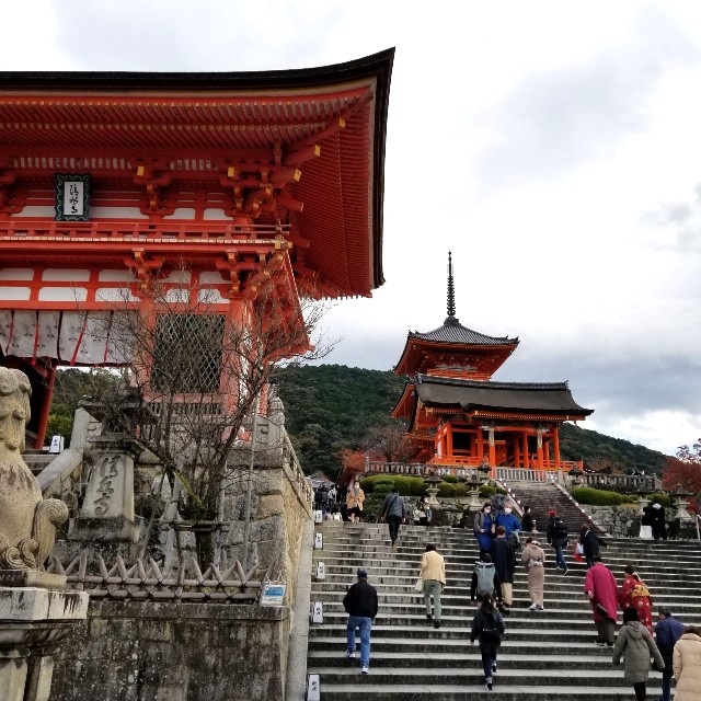 f:id:atoriatoriatori:20211216110306j:image