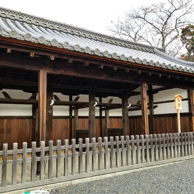 f:id:atoriatoriatori:20211216110848j:image