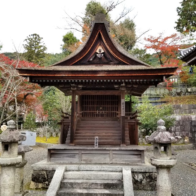 f:id:atoriatoriatori:20211216115632j:image