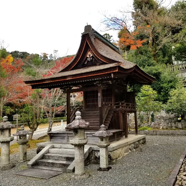 f:id:atoriatoriatori:20211216115757j:image