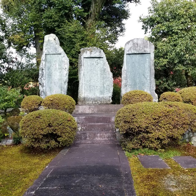f:id:atoriatoriatori:20211216124720j:image