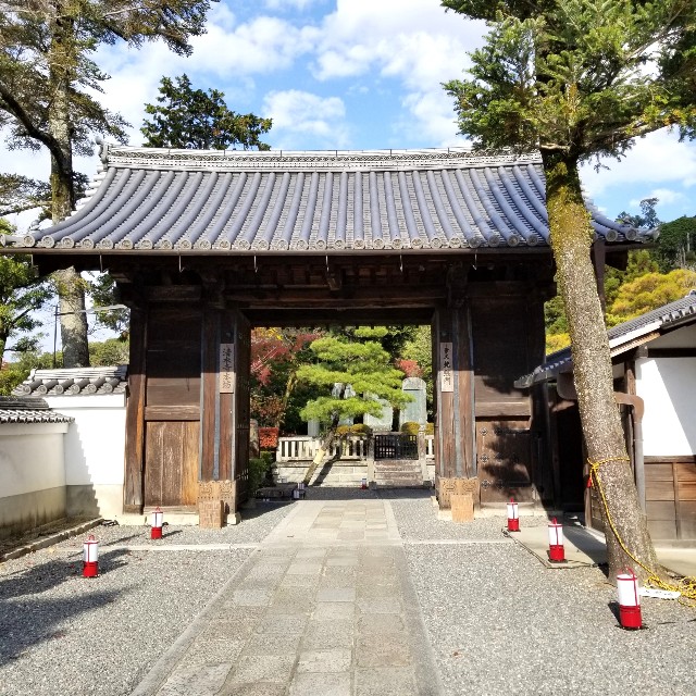 f:id:atoriatoriatori:20211216124809j:image
