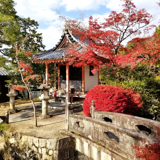 f:id:atoriatoriatori:20211216125552j:image