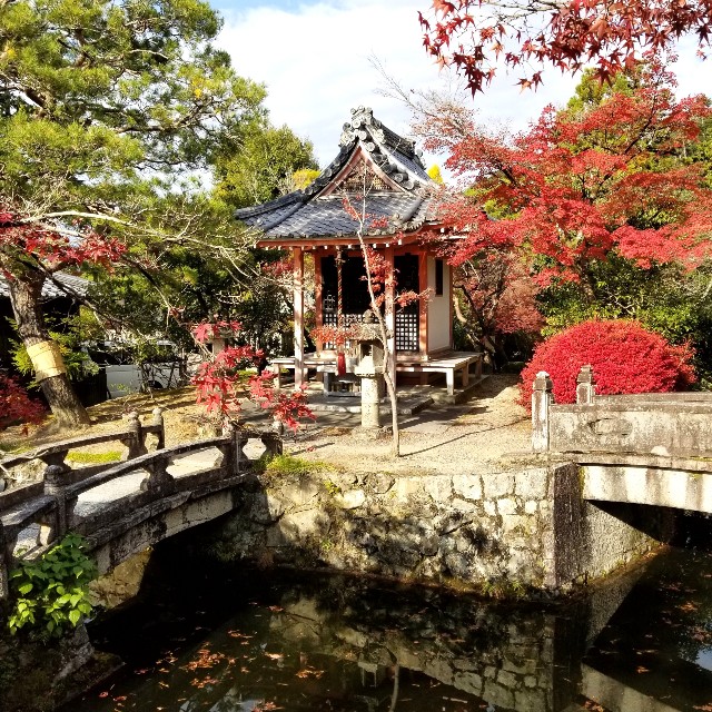 f:id:atoriatoriatori:20211216130918j:image