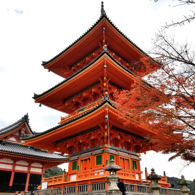 f:id:atoriatoriatori:20211216131030j:image