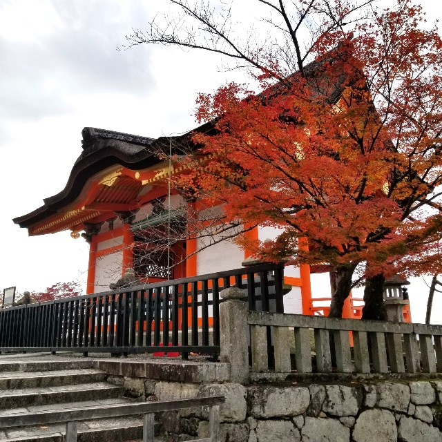 f:id:atoriatoriatori:20211216131043j:image