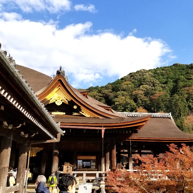 f:id:atoriatoriatori:20211216160148j:image