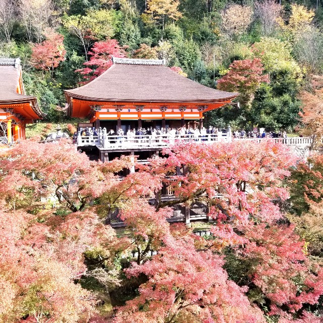 f:id:atoriatoriatori:20211216162232j:image