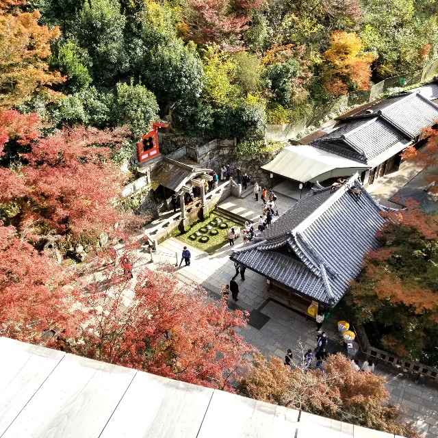 f:id:atoriatoriatori:20211216162329j:image