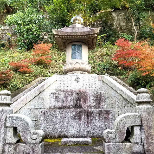 f:id:atoriatoriatori:20211216174429j:image