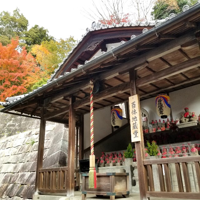 f:id:atoriatoriatori:20211216174450j:image