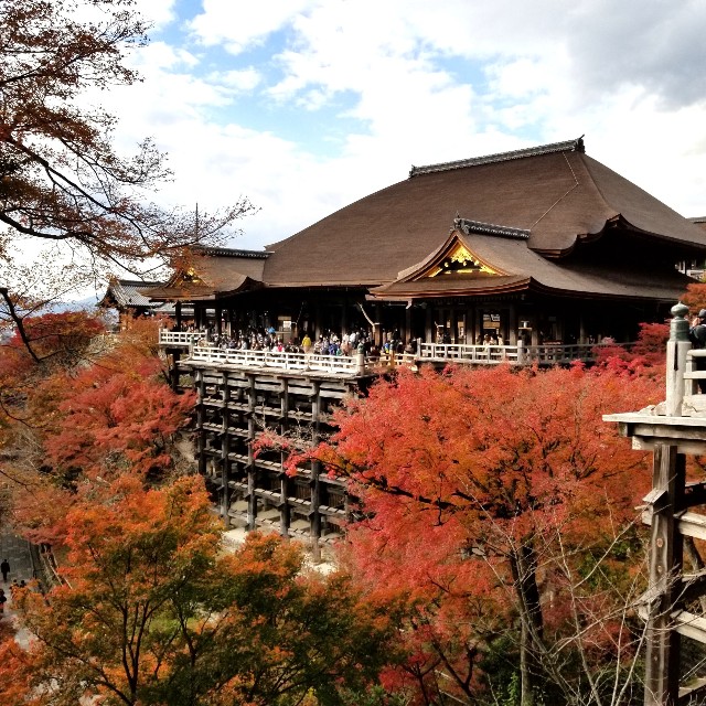 f:id:atoriatoriatori:20211216181820j:image