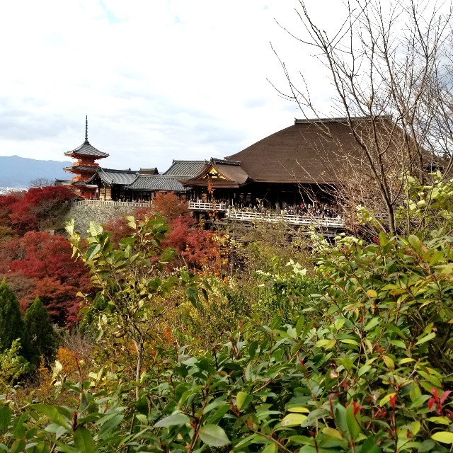 f:id:atoriatoriatori:20211216213703j:image