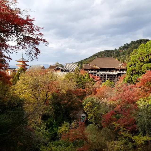 f:id:atoriatoriatori:20211216213711j:image