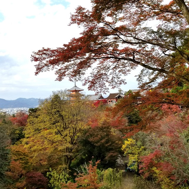 f:id:atoriatoriatori:20211216215528j:image