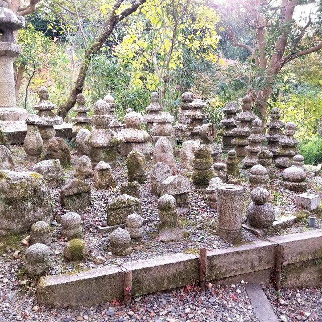 f:id:atoriatoriatori:20211216215536j:image