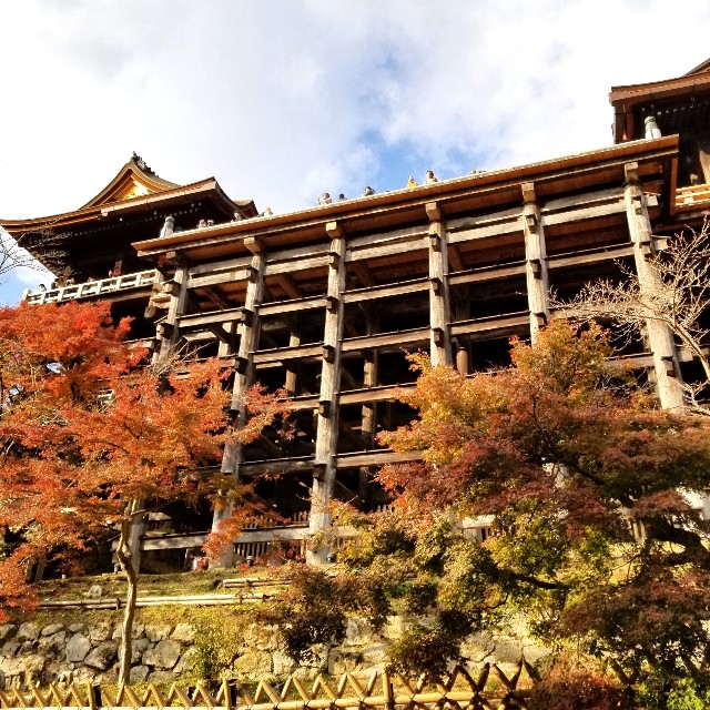 f:id:atoriatoriatori:20211216215558j:image
