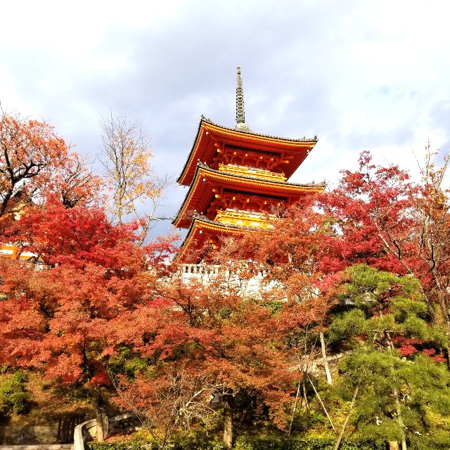 f:id:atoriatoriatori:20211216221536j:image