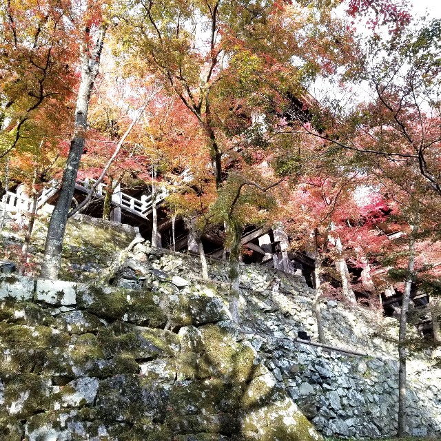 f:id:atoriatoriatori:20211216221544j:image