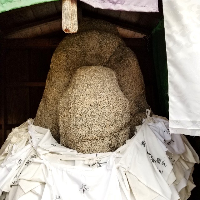 f:id:atoriatoriatori:20211231093333j:image