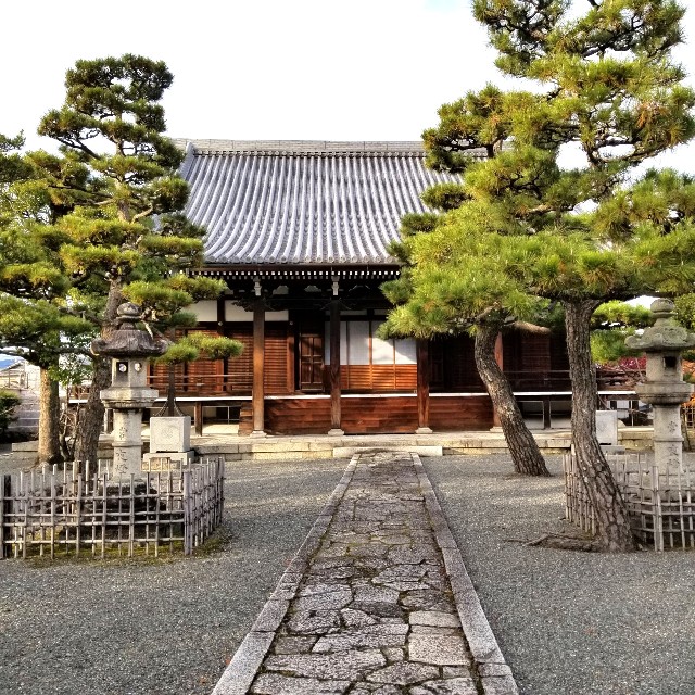 f:id:atoriatoriatori:20211231094507j:image