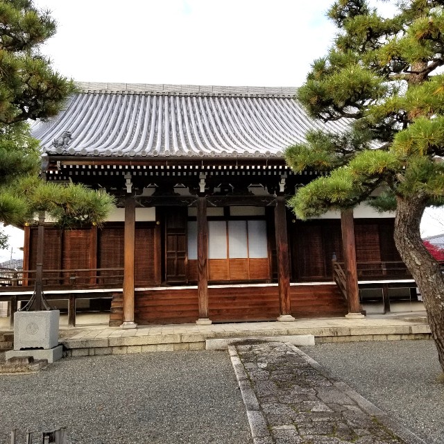 f:id:atoriatoriatori:20211231094530j:image